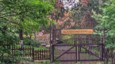 Erdő Mélyén Házikó Dörgicse 