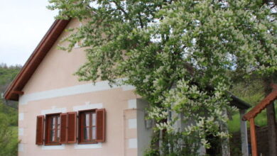 Erdőszéli Vendégház Alsópetény 