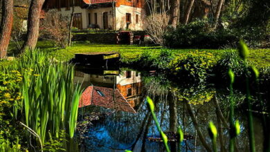 Erdőszéli Vendégház Pilisszentlászló 