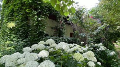 Erdőszéli Vendégház Túristvándi 