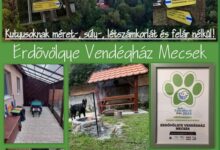 Erdővölgye Vendégház Mecseknádasd-Óbánya 