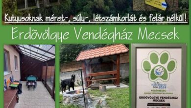 Erdővölgye Vendégház Mecseknádasd-Óbánya 