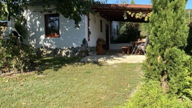 Erika Apartman Öreghegy 