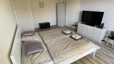 Erika Boutique Apartman Gyomaendrőd 