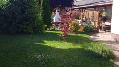 Erika Vendégház Hajdúszoboszló 