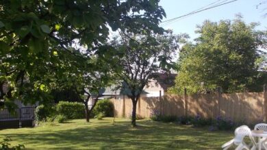 Erika Vendégház Szilvásvárad 