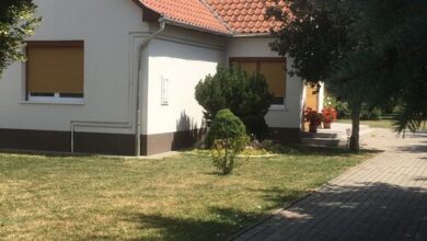 Erzsébet Vendégház Nagyhegyes 