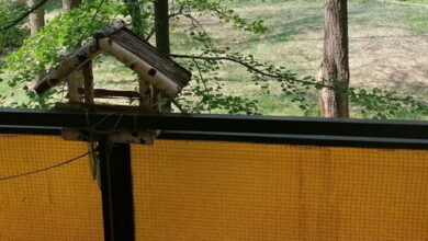 Erzsébet Vendégház Szarvas 