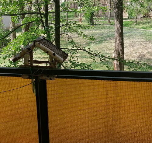 Erzsébet Vendégház Szarvas 