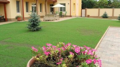 Eszter Wellness Apartman Békéscsaba 