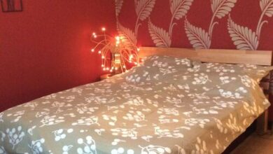 Exotikus 2 szobás lakás erkéllyel Komárom 