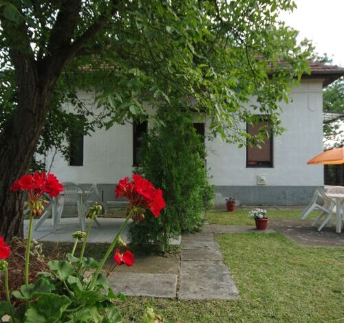 Ezüstfenyő Apartman Gyula 