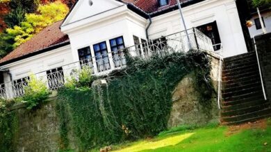 Ezüstfenyő Üdülő Visegrád 