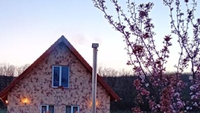 Fa Szamár Vendégház Demjén 