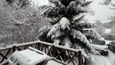 Fagyöngy Pajtaház Őriszentpéter 