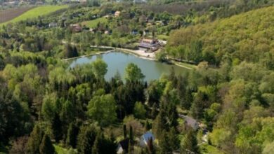 Fain Vendégház Bélapátfalva 