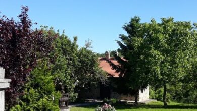 Faluvégi Vendégház Hollókő 