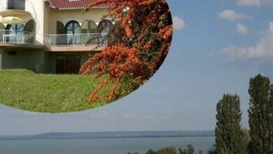 Fanni Nyaraló Badacsony 