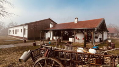 Farkasdomb Tájház és Turisztikai Központ Tiszapüspöki 