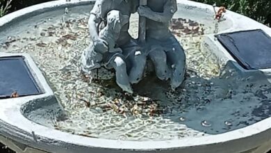 Fecske Apartman Felsőpáhok  