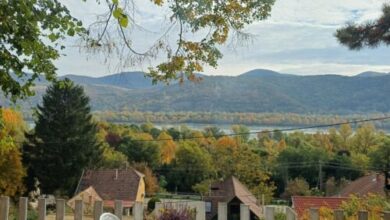 Fecskefészek Vendégház  Dunakanyar Nagymaros 