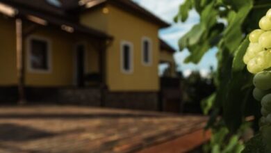 Fecskefészek Vendégház Egerszalók 