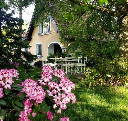 Fehér Porta Vászoly 