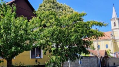 Fehér Rózsa Ház Alsópáhok 