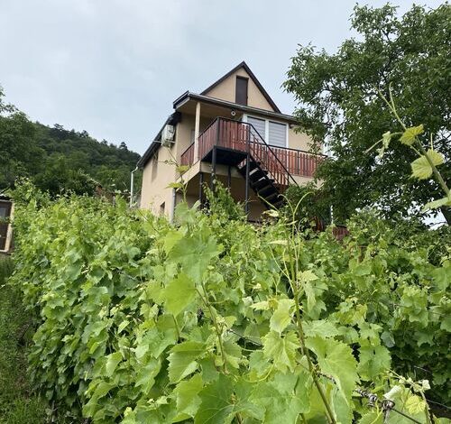 Fehér Szőlő Vendégház Sátoraljaújhely 
