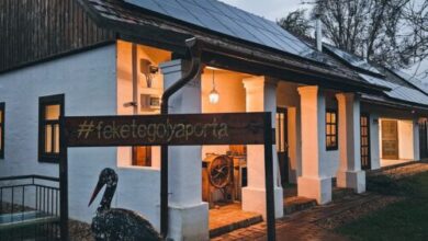 Fekete Gólya Porta Apartmanok Tiszafüred 