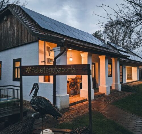 Fekete Gólya Porta Apartmanok Tiszafüred 