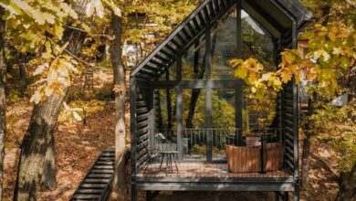 Fekete Rigó Noszvaj 