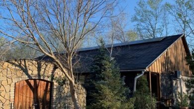 FeketeFenyő Vendégház Soltvadkert 