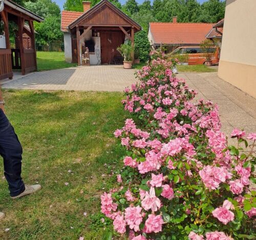 Fényesfelde Apartman Lendvajakabfa 