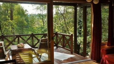 Fenyőrügy Vendégház Őriszentpéter 