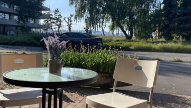 Fenyves Parti Vendégház Balatonfenyves 