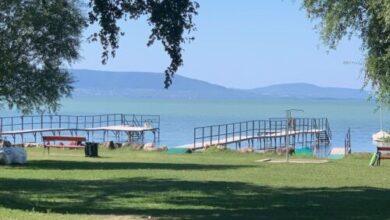 Fenyvesi Kuckó Balatonfenyves 