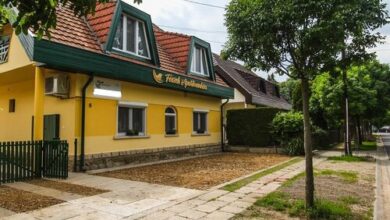 Fészek Apartmanház Gyula 