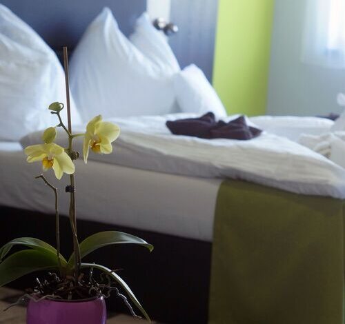 Fitromax Sportpanzió Ajka 