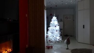 Flame Luxus Apartman Makó 