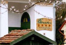 Flórián Vendégház ****Villánykövesd 