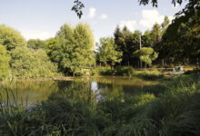 Fónagy Apartmanok Nagyvisnyó 