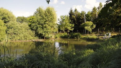 Fónagy Apartmanok Nagyvisnyó 