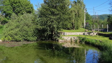 Fónagy Vendégház Nagyvisnyó 