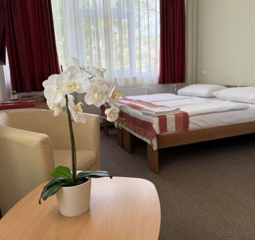 Fordan Hotel Pécs 