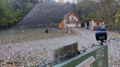 Forest Cottage 2024 Lábatlan 