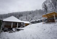 Forest Residence Miskolc 