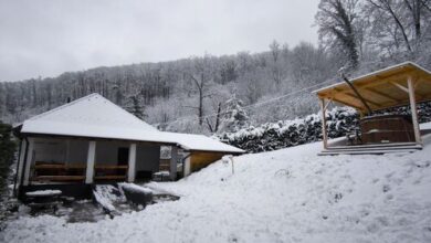 Forest Residence Miskolc 