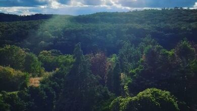 Forrás Hegyi Apartman Felsőörs 