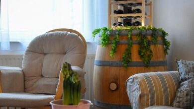 Four Seasons Thermal Apartman Mosonmagyaróvár 